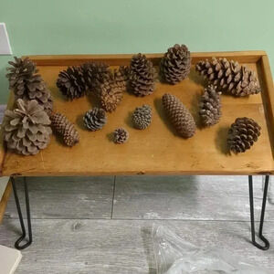 Christmas  Pine Cones